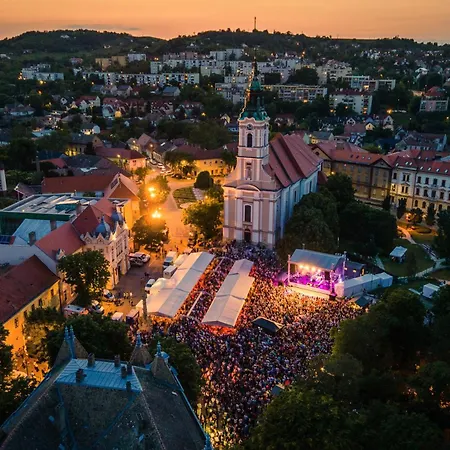Szent Gaal Kastely Vila *