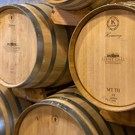 Villa Szent Gaál Kastély *