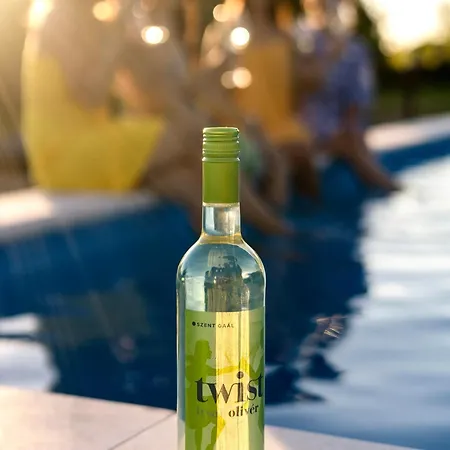 Szent Gaál Kastély