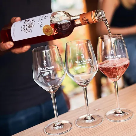 Szent Gaál Kastély Villa *