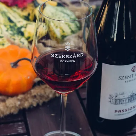 Szent Gaal Kastely Зомба