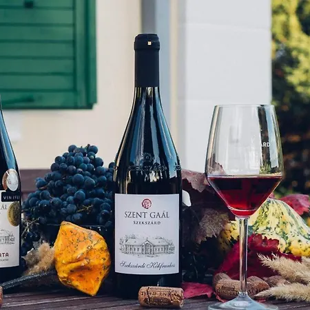 Villa Szent Gaál Kastély